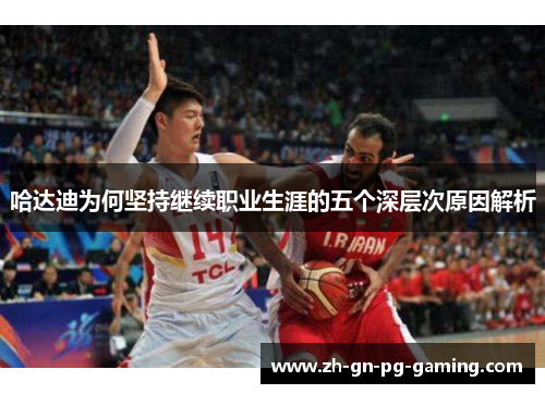 哈达迪为何坚持继续职业生涯的五个深层次原因解析