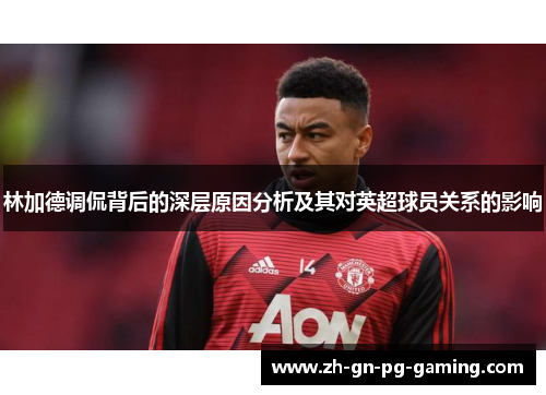 林加德调侃背后的深层原因分析及其对英超球员关系的影响