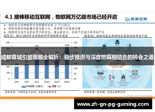成都蓉城引援策略全解析:稳步推进与深度挖掘相结合的转会之道 成都蓉城引援策略全解析:稳步推进与深度挖掘相结合的转会之道