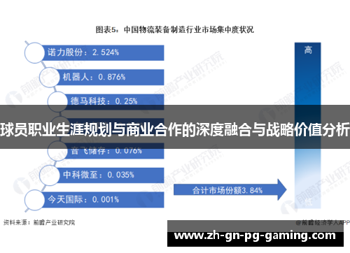 球员职业生涯规划与商业合作的深度融合与战略价值分析