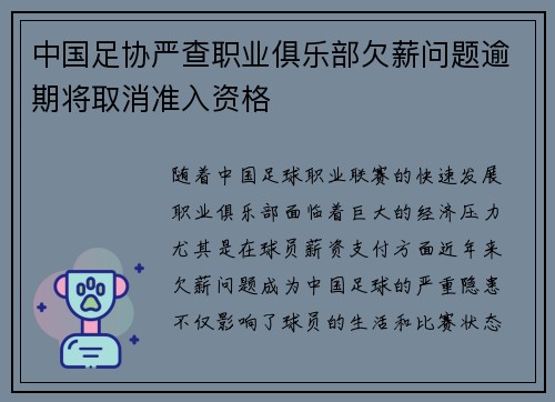 中国足协严查职业俱乐部欠薪问题逾期将取消准入资格 中国足协严查职业俱乐部欠薪问题逾期将取消准入资格